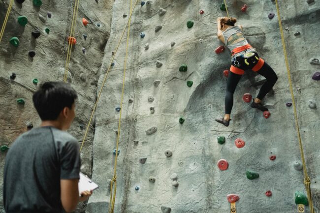 testostud nõuandmine treener areng